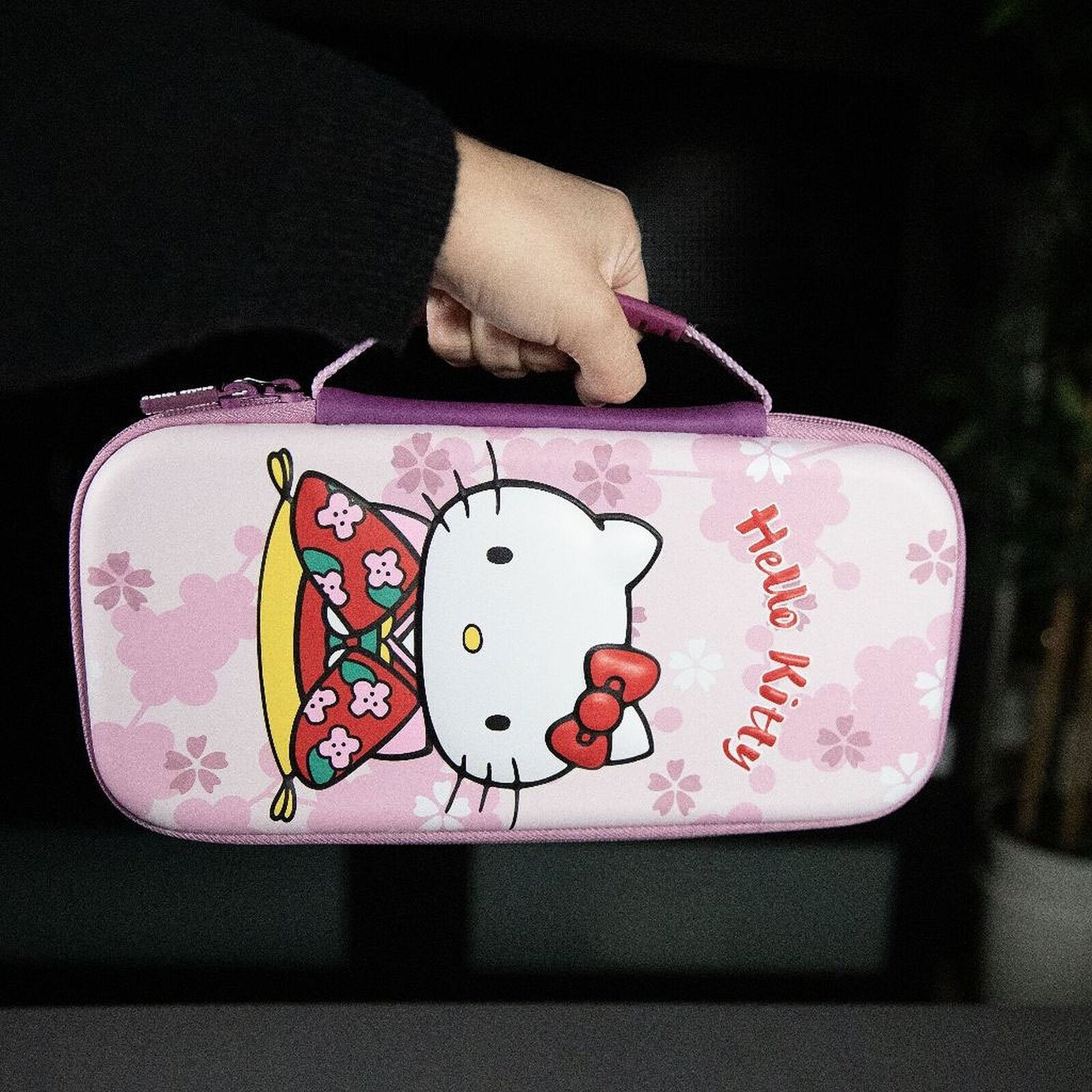 HELLO KITTY 2009 NSX 2つセット Hello Kitty Sanrio GVC40 Hello Kitty and Friends Mini Beach Pencil