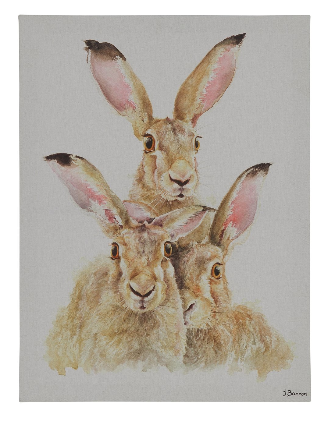 The Art Group Jane Bannon Hare Canvas Review