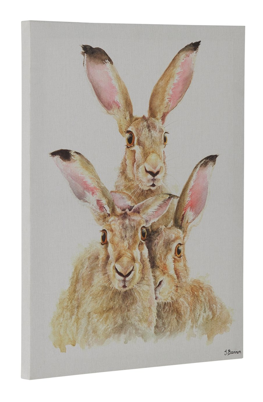 The Art Group Jane Bannon Hare Canvas Review