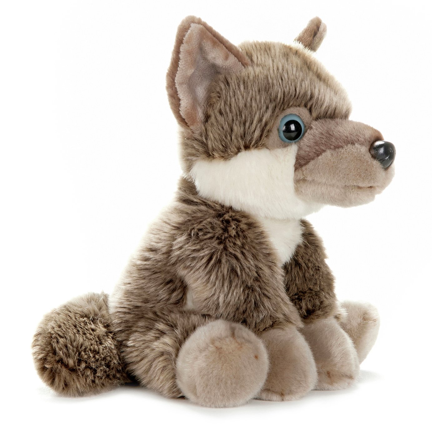 BBC Earth Babies 25cm Husky Puppy Soft Toy Review