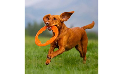 Bionic Toss N Tug Turbo Pet Toy - Orange