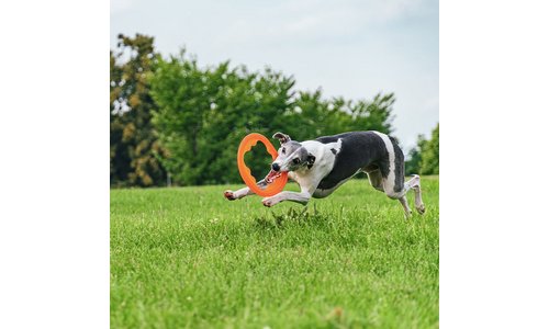 Bionic Toss N Tug Turbo Pet Toy - Orange