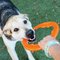 Bionic Toss N Tug Turbo Pet Toy - Orange