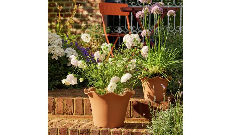 Habitat Scalloped 28.5cm Clay Planter – Large