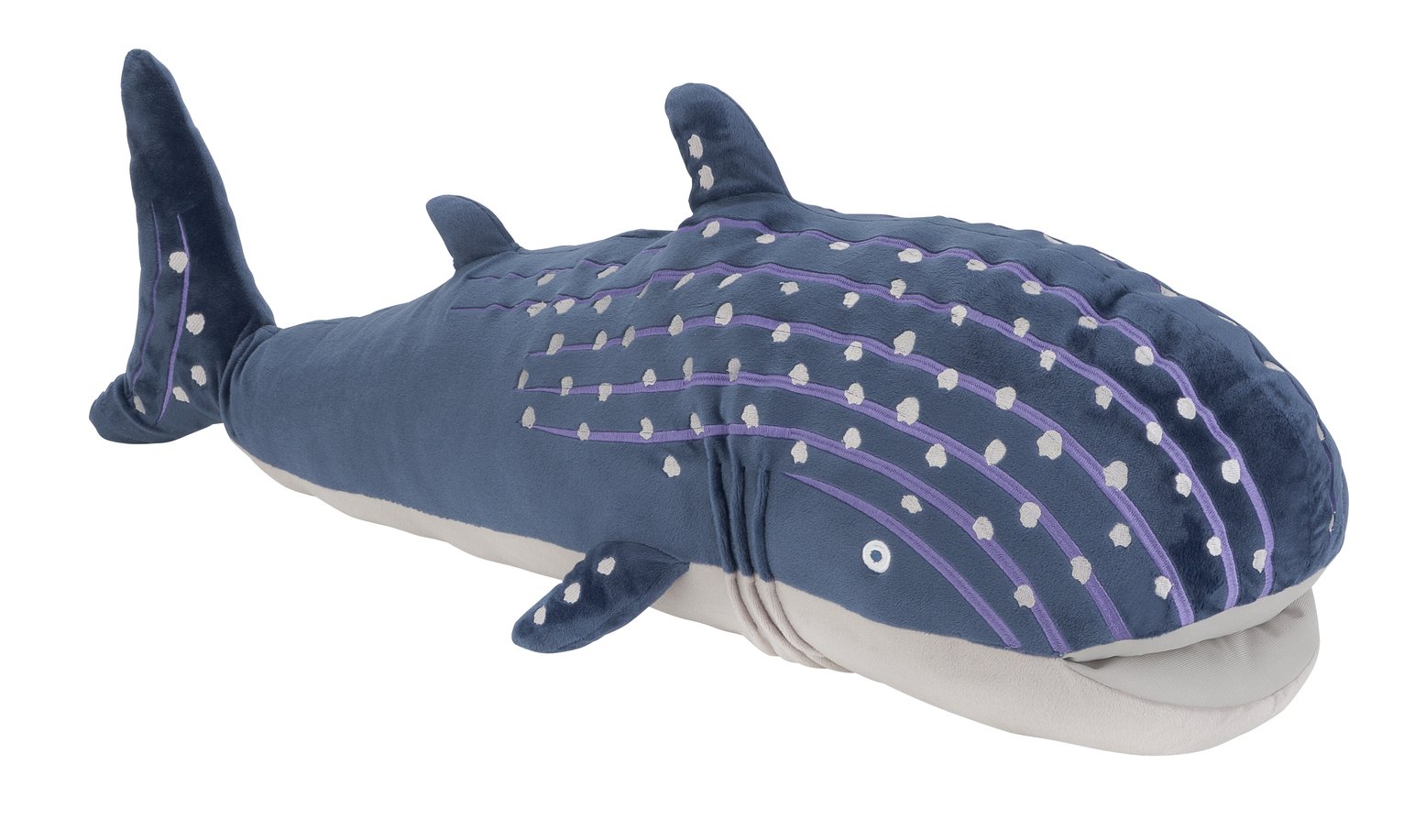 teddy whale