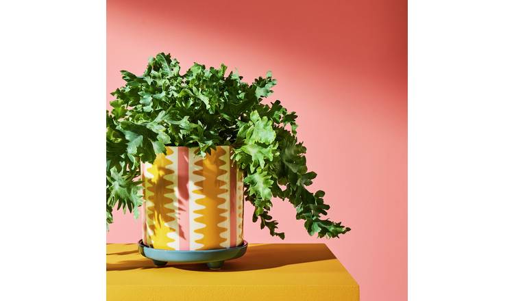 Habitat Stripe Ceramic Yellow Planter with Saucer