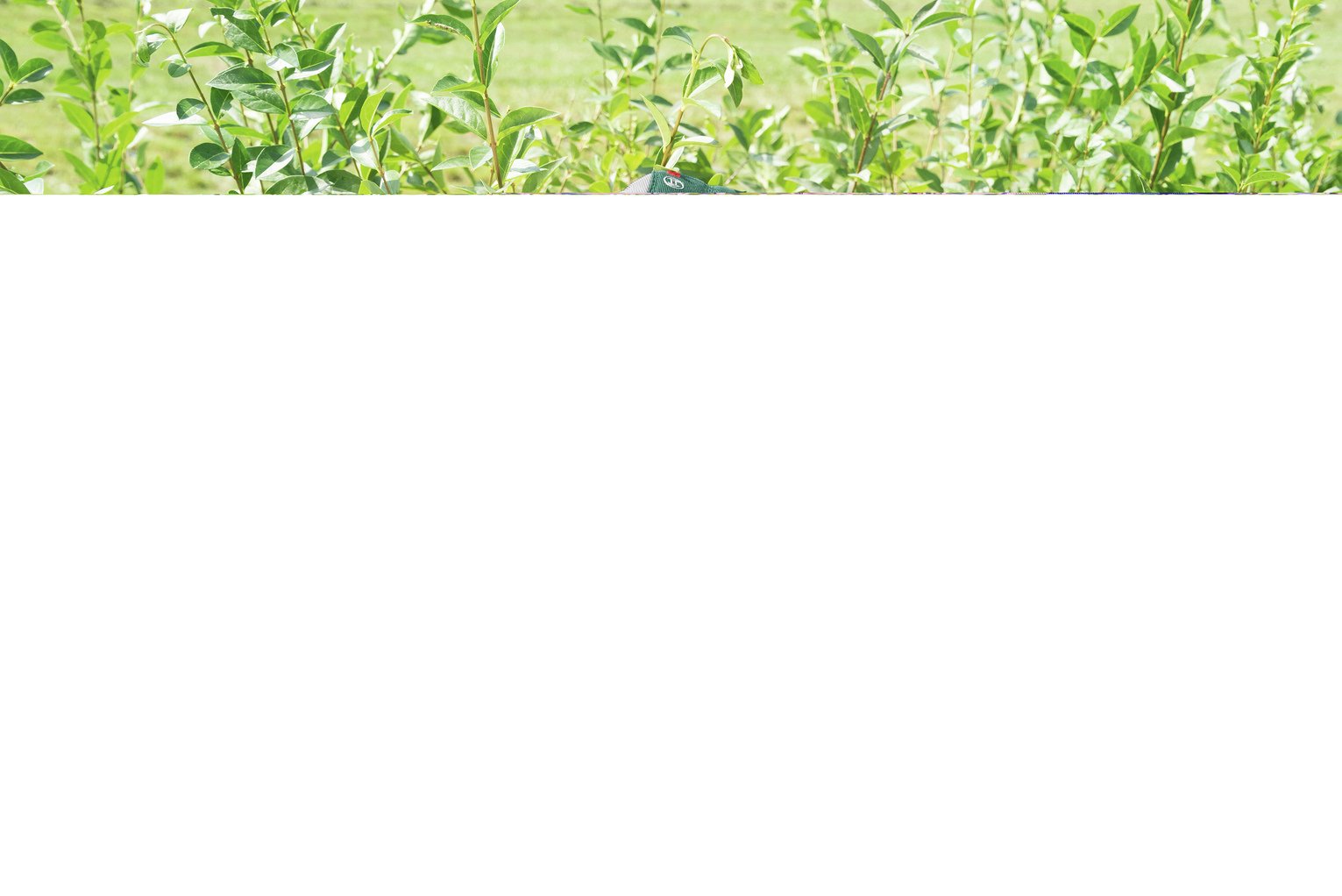 bosch cordless hedge trimmer argos