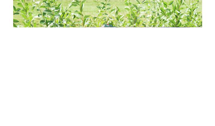 Buy Bosch Ahs 50 20 Li 50cm Cordless Hedge Trimmer 18v Hedge