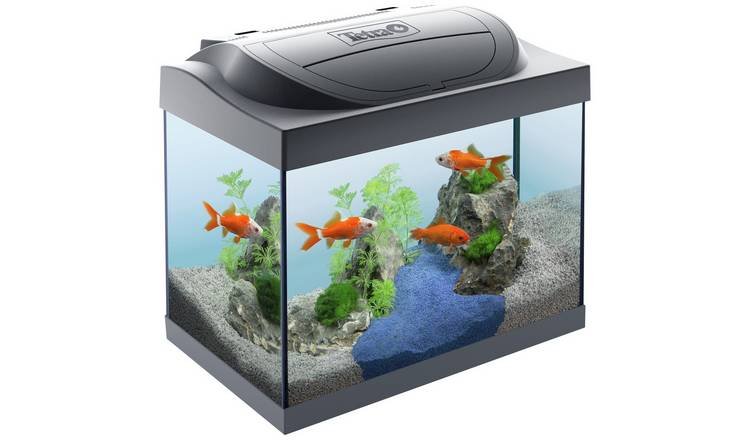 toy fish tank argos