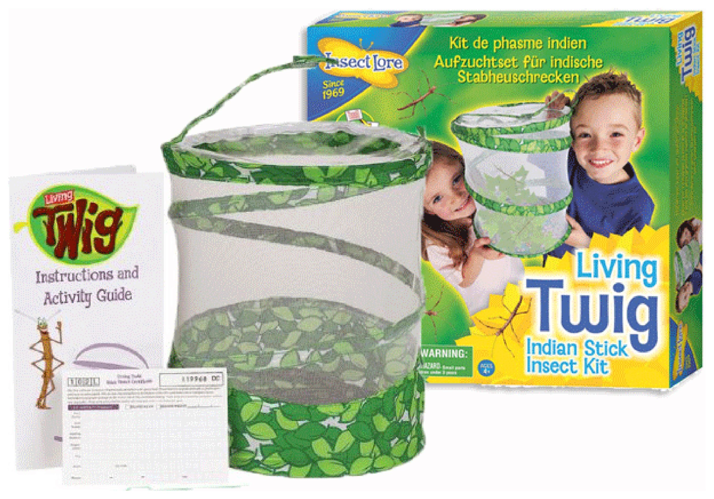 Insect Lore Living Twig Indian Stick Insect Kit Reviews