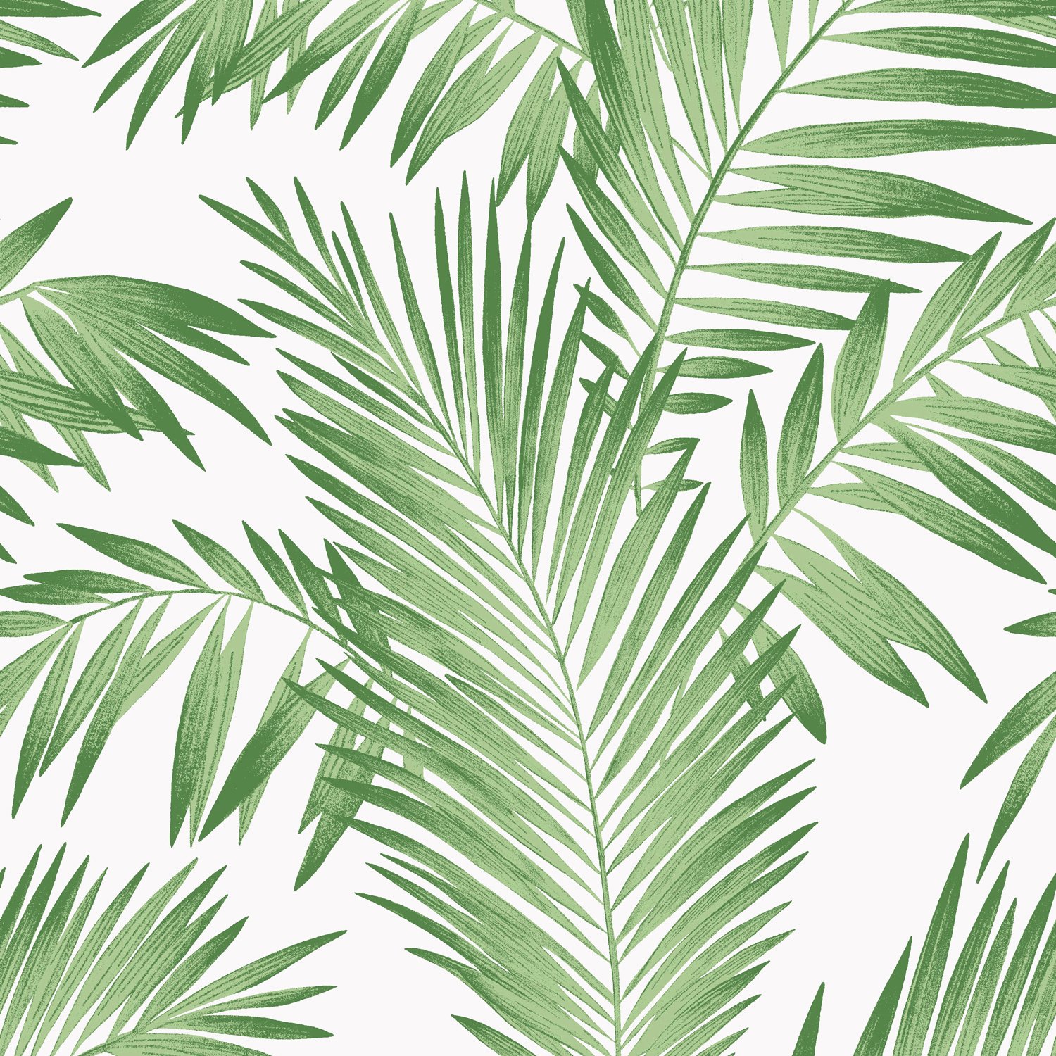 Arthouse Tropical Palm Wallpaper - Green