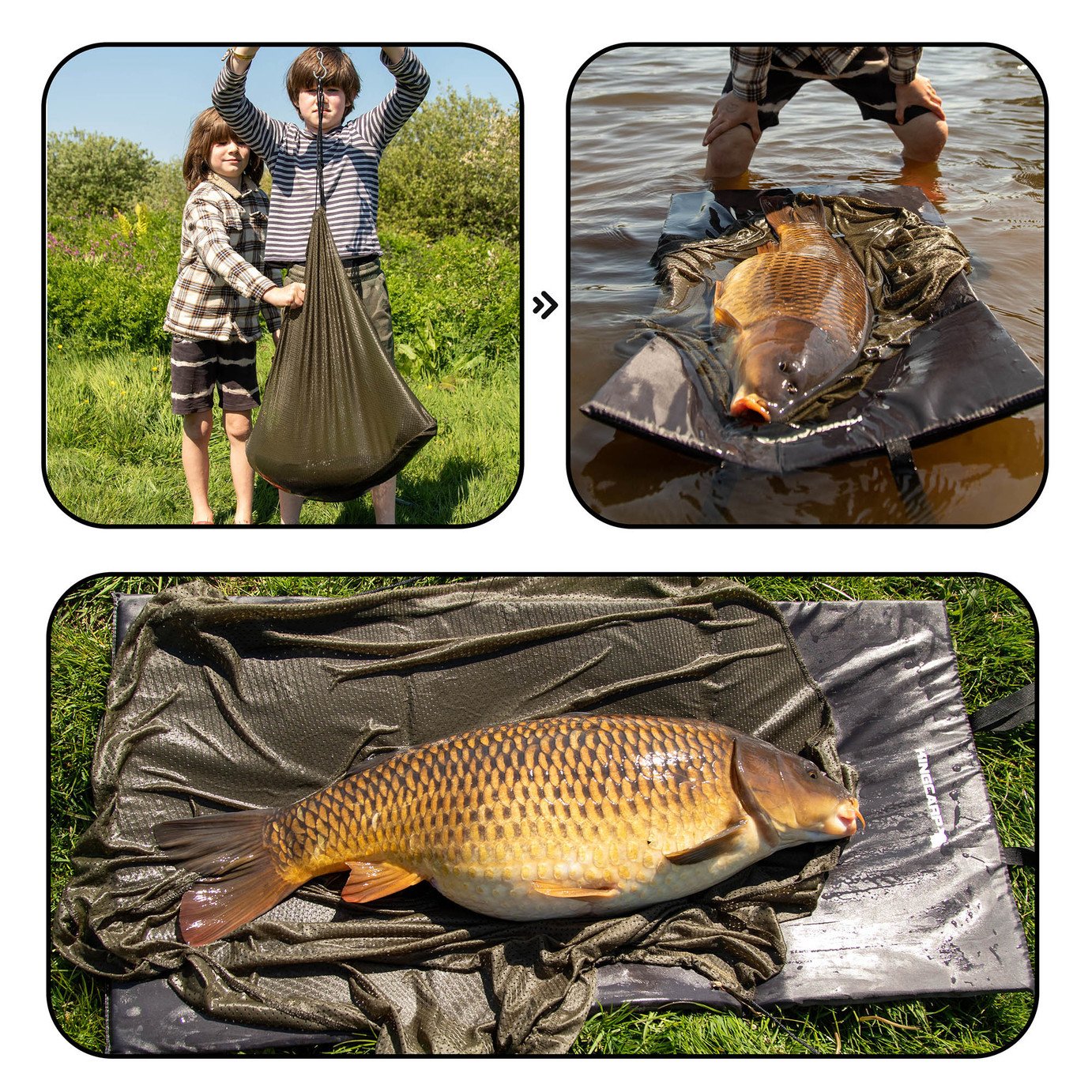 argos carp fishing reels Buy Kingcarp 12ft 2 Rod Carp Fishing Set and Shelter Rods Reels | Fishing  rods and poles