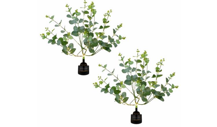 Streetwize Garden Eucalyptus Tree Solar Lights - Pack of 2