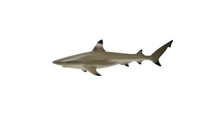CollectA Blacktip Reef Shark - 3 Years +