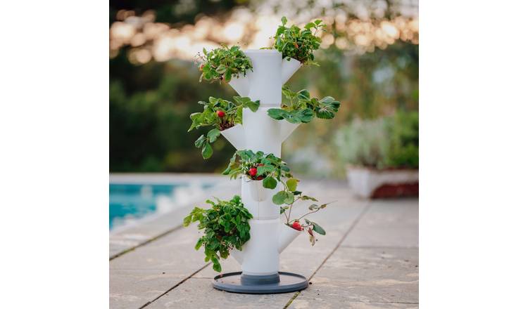Gusta Garden Sissi Strawberry Starter Tower 4 Levels - White
