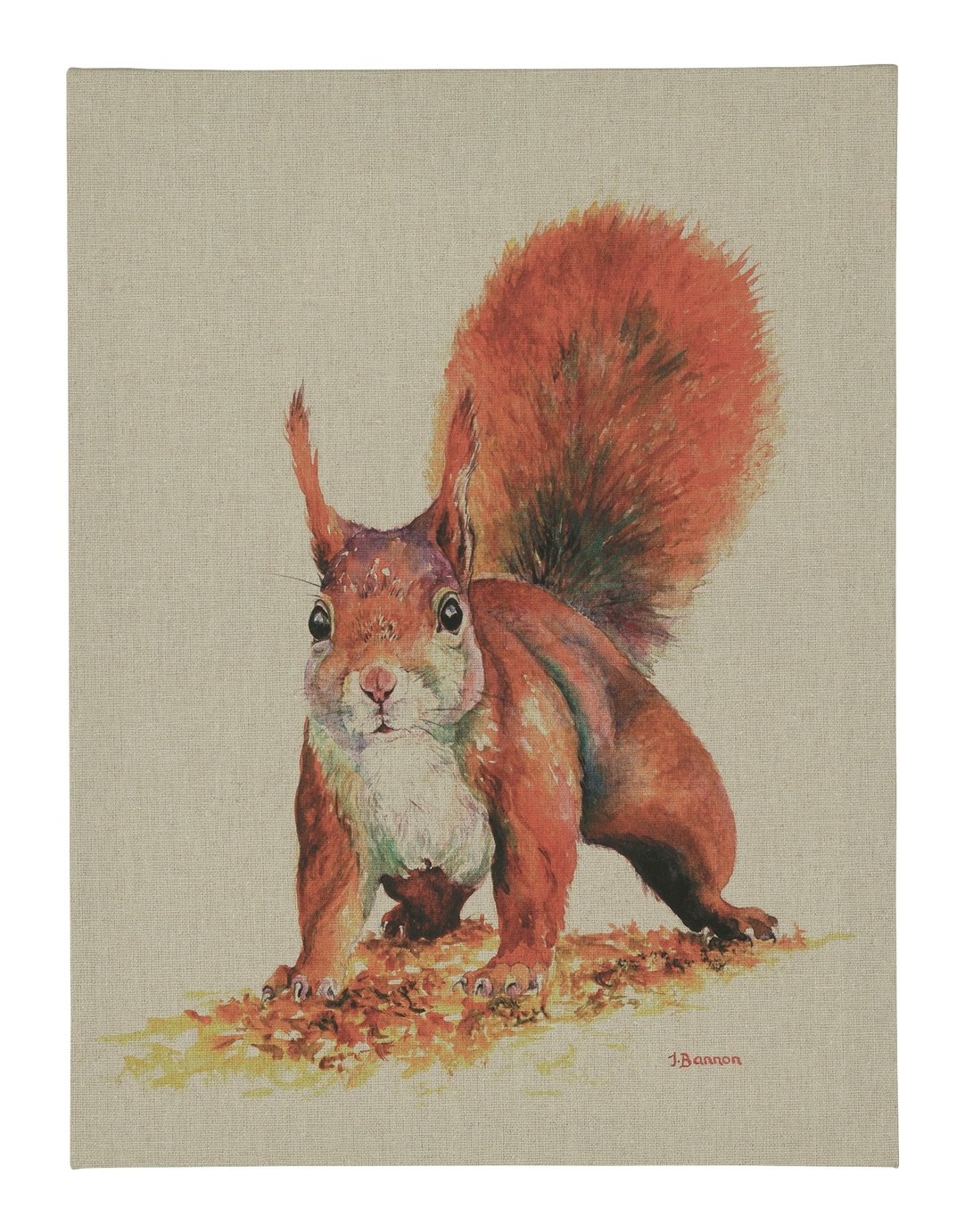 The Art Group Jane Bannon Red Squirrel Canvas Review