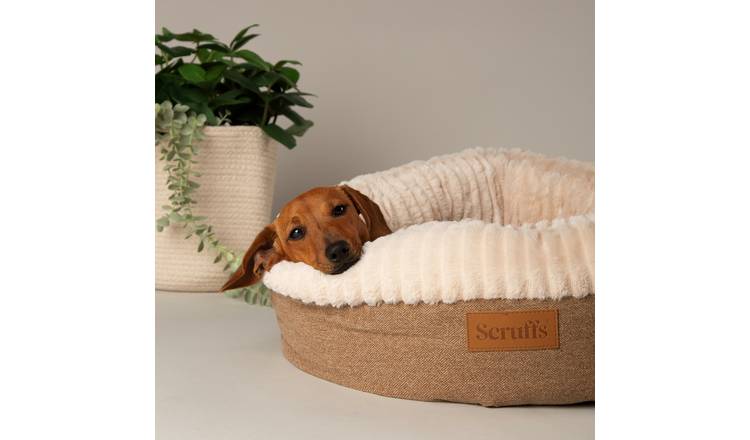 Scruffs Ellen Donut Dog Bed - Extra Large