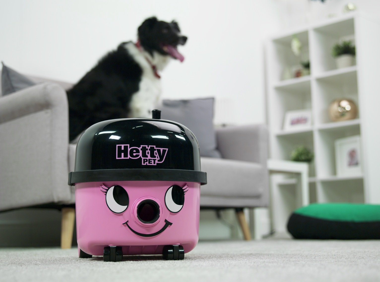 Hetty Pet PEH200-11 Bagged Cylinder Vacuum Cleaner Review