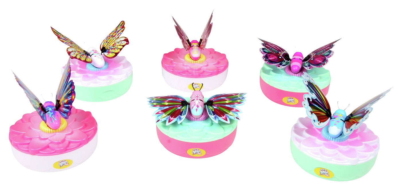 little live pets butterfly argos