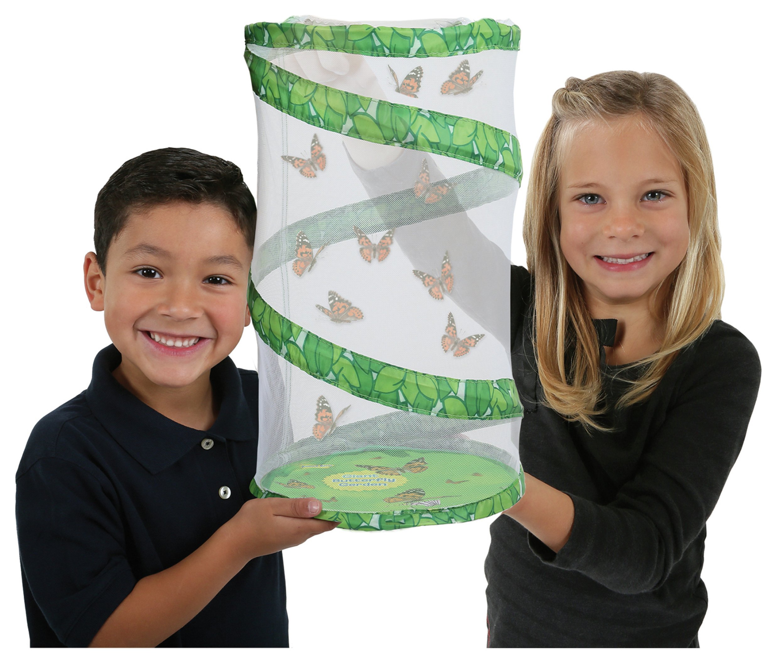 Insect Lore Giant Live Butterfly Garden Review