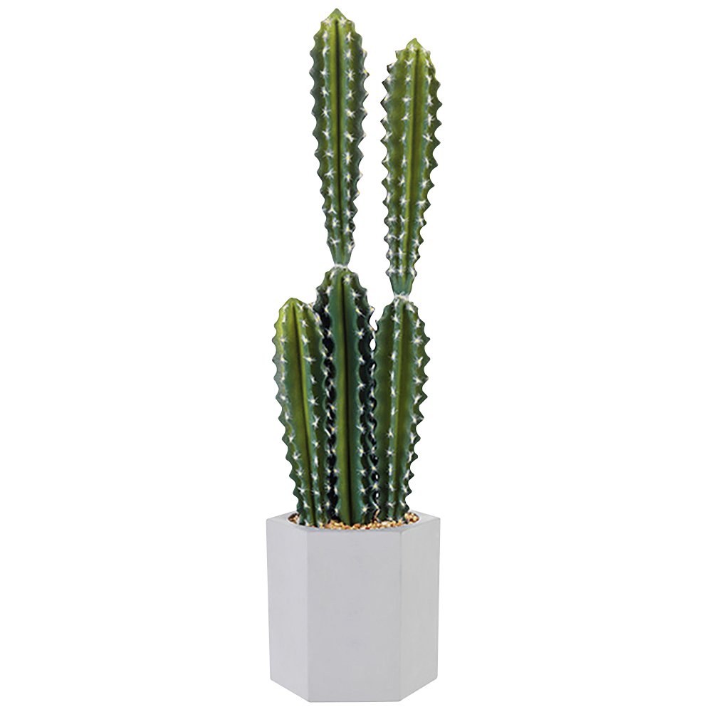 Sainsbury's Home Artificial Cacti