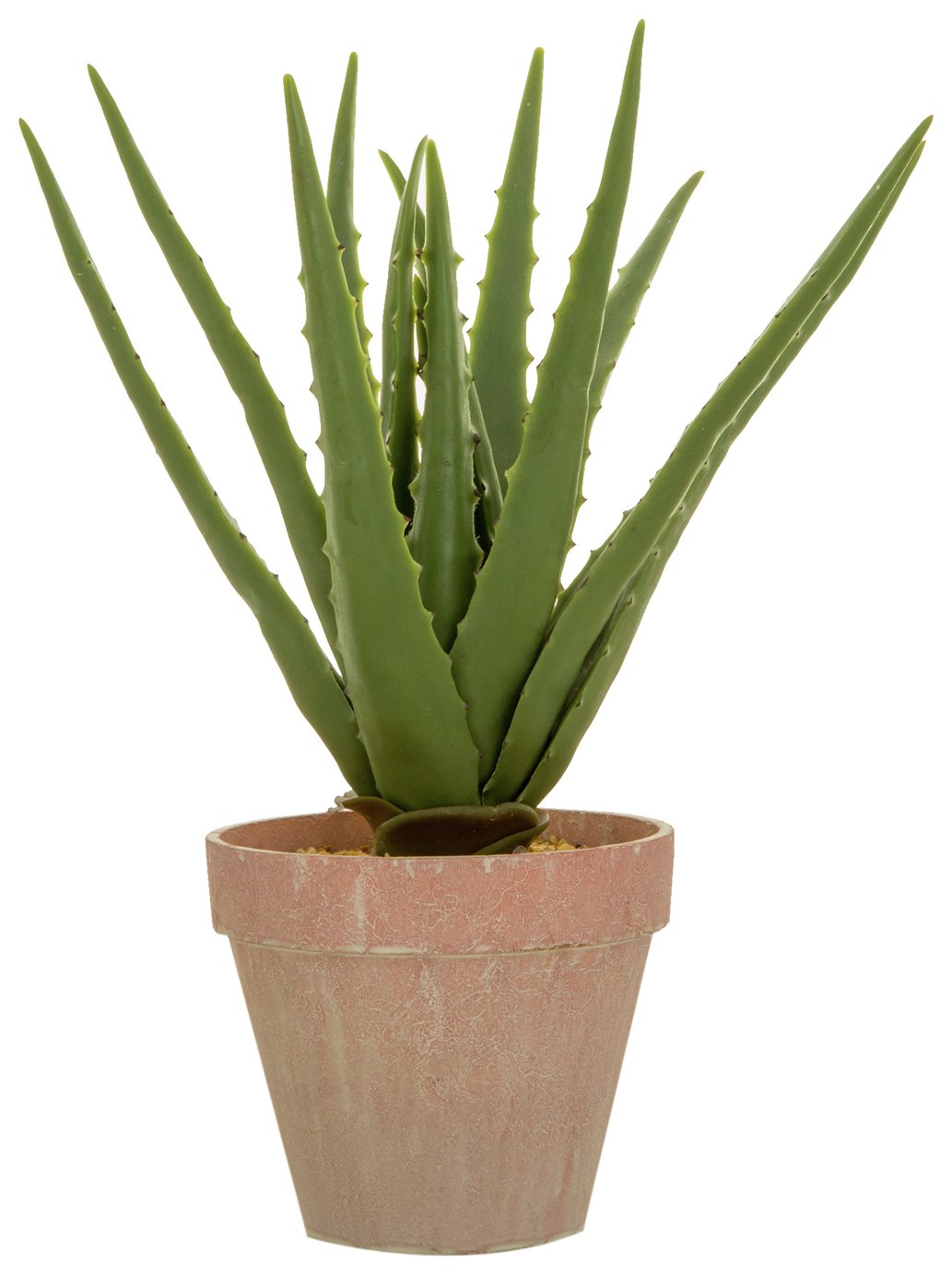 Sainsbury's Home Large Aloe Artificial House Plant