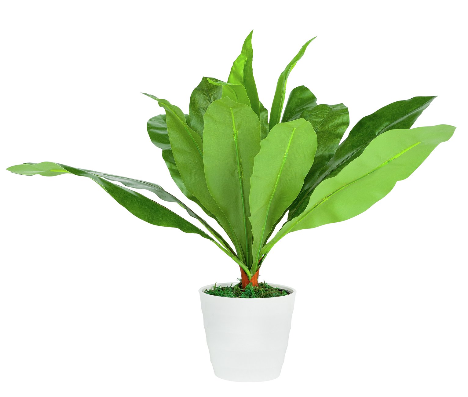 Dracaena Artificial Flower Arrangement Reviews Updated August 2024