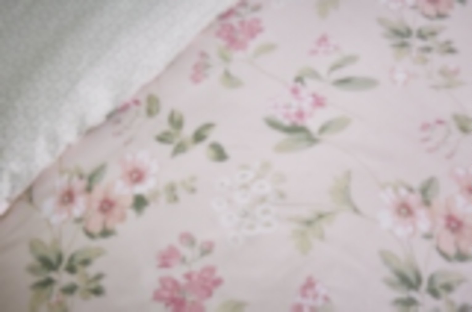 Dreams N Drapes Lorena Blush Bedding Set review