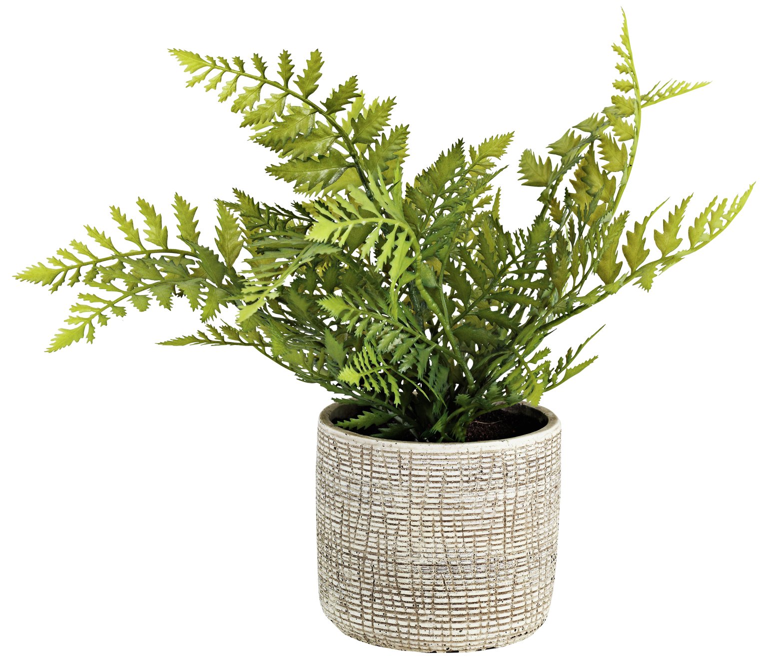 Argos Home Rural Retreat Artificial Fern House Plant