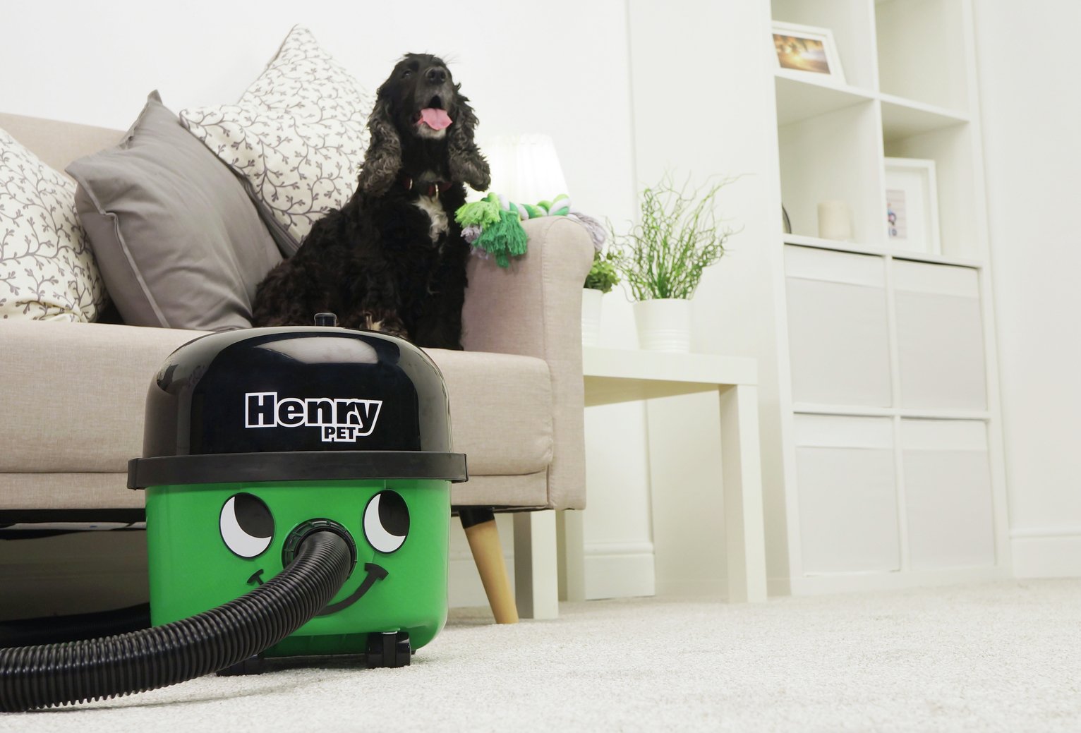Henry Pet PET20011 Bagged Cylinder Vacuum Cleaner Reviews