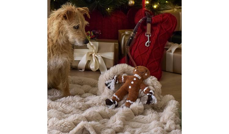 Argos Home Gingerbread Person Soft Dog Toy