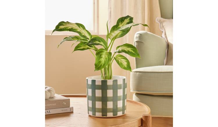 Argos Home Green Gingham Ceramic Planter