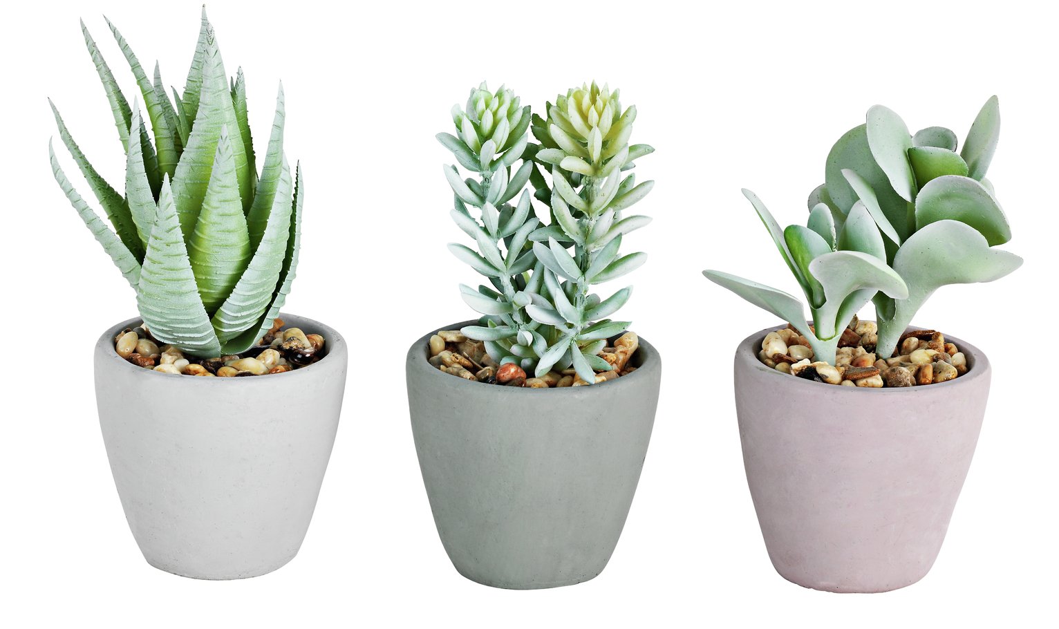 Argos Home Urban Escape Set of 3 Artificial Succulent Pots