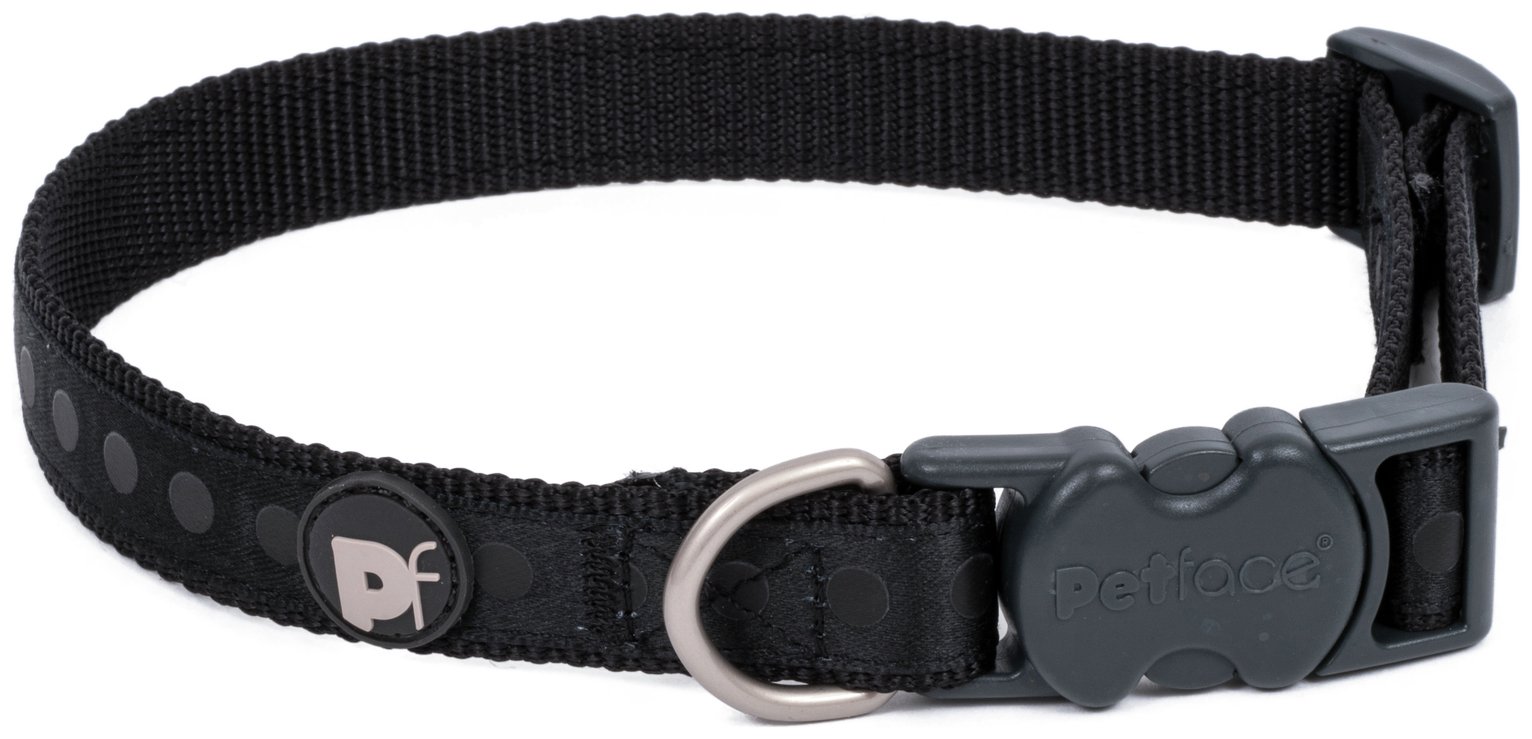 small dog collar and lead