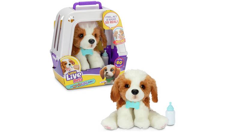 Little live dogs best sale