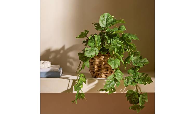 Bayswood Artificial Trailing Leaf in Rattan Pot