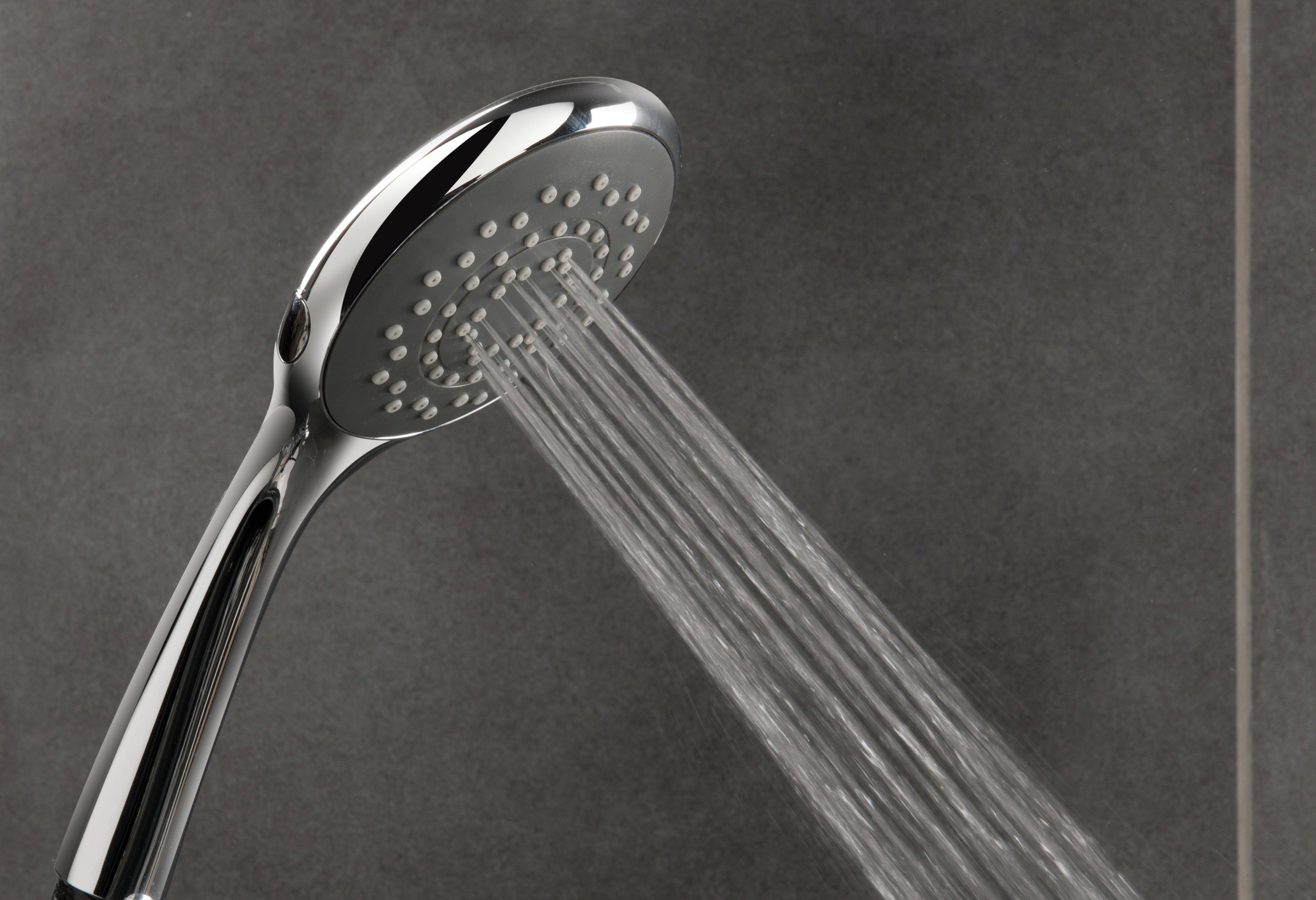 Triton 5 Function Shower Head Reviews