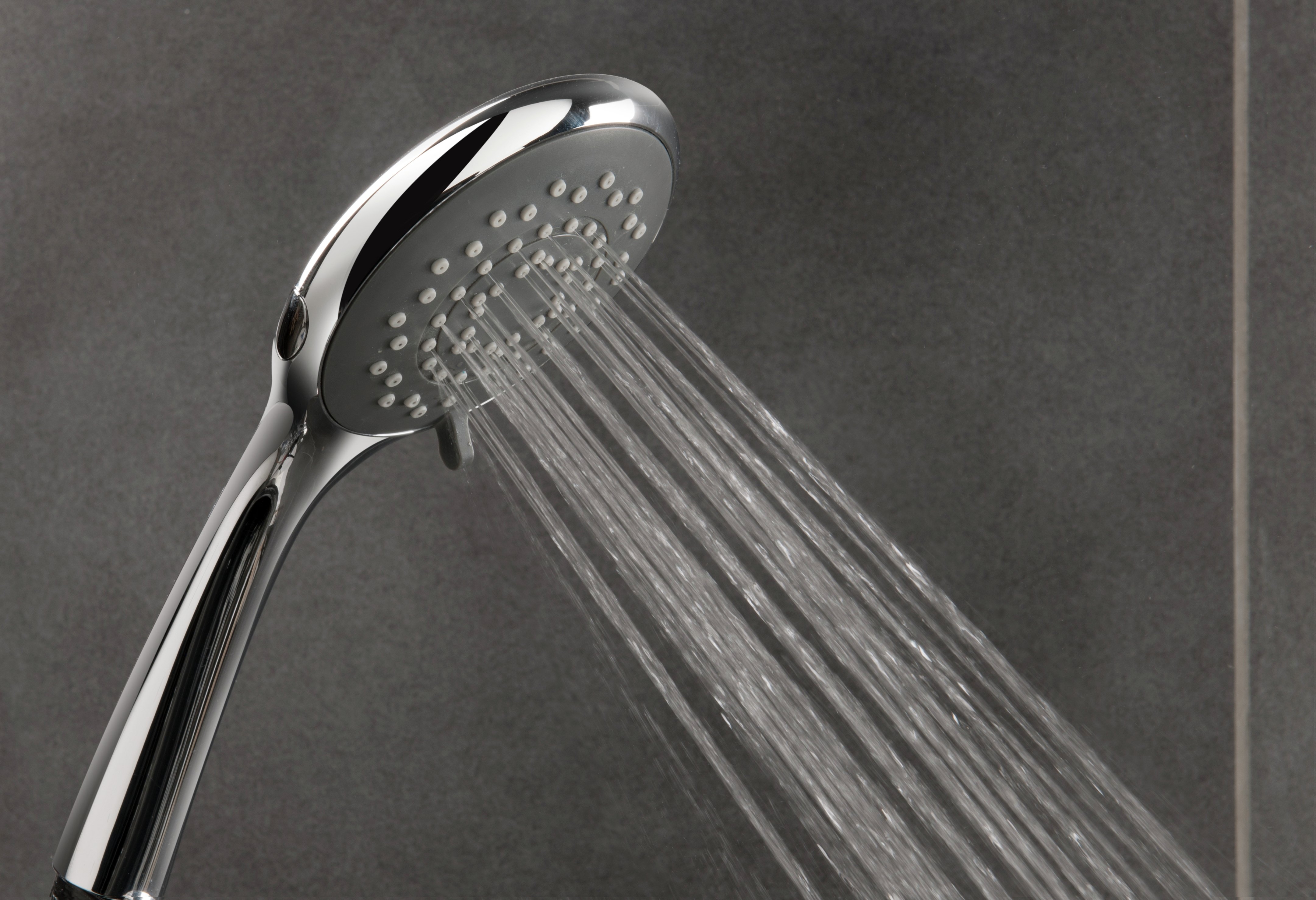 Triton 5 Function Shower Head Reviews