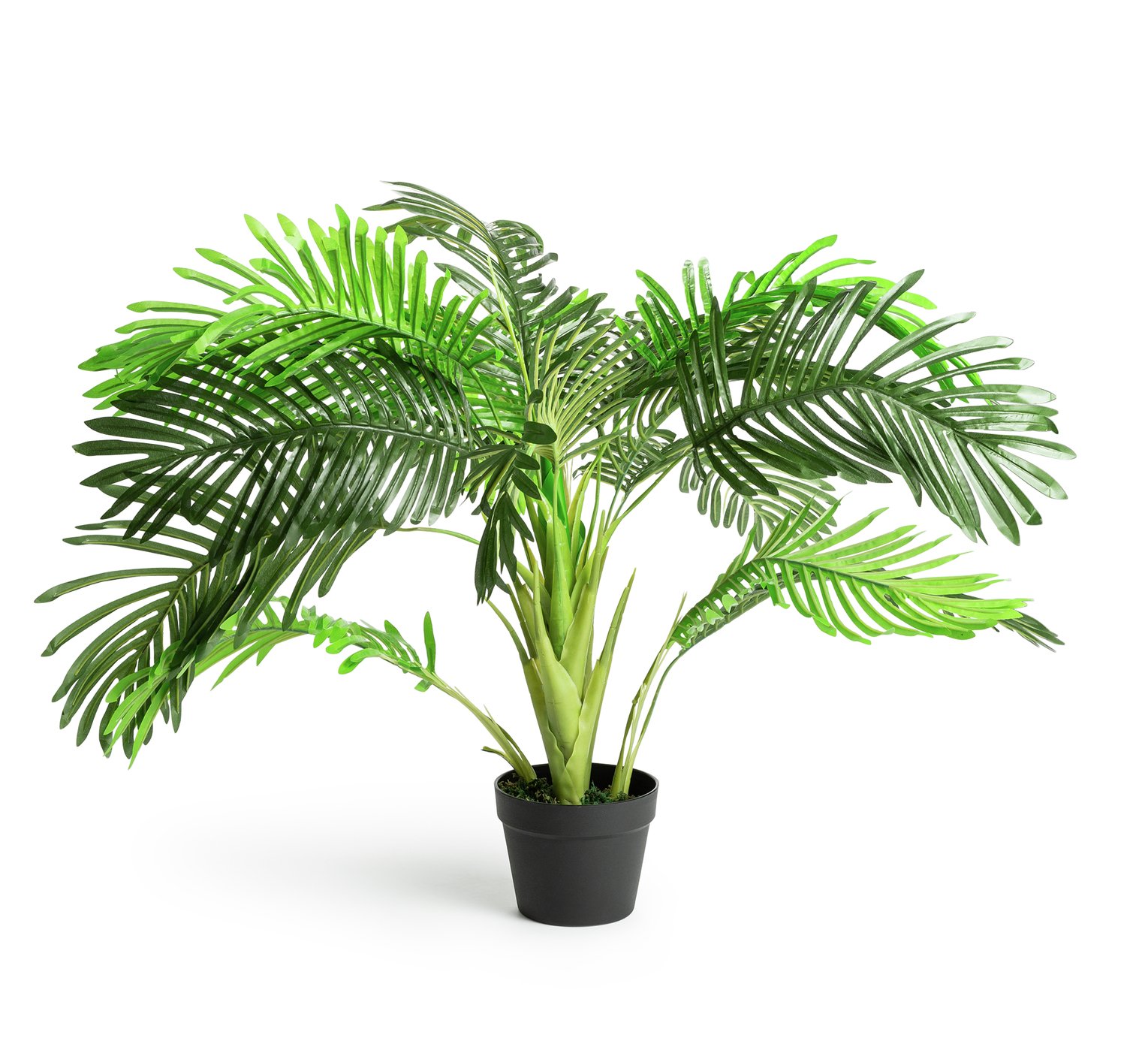 Argos Home Palm Artificial Flower Arrangement