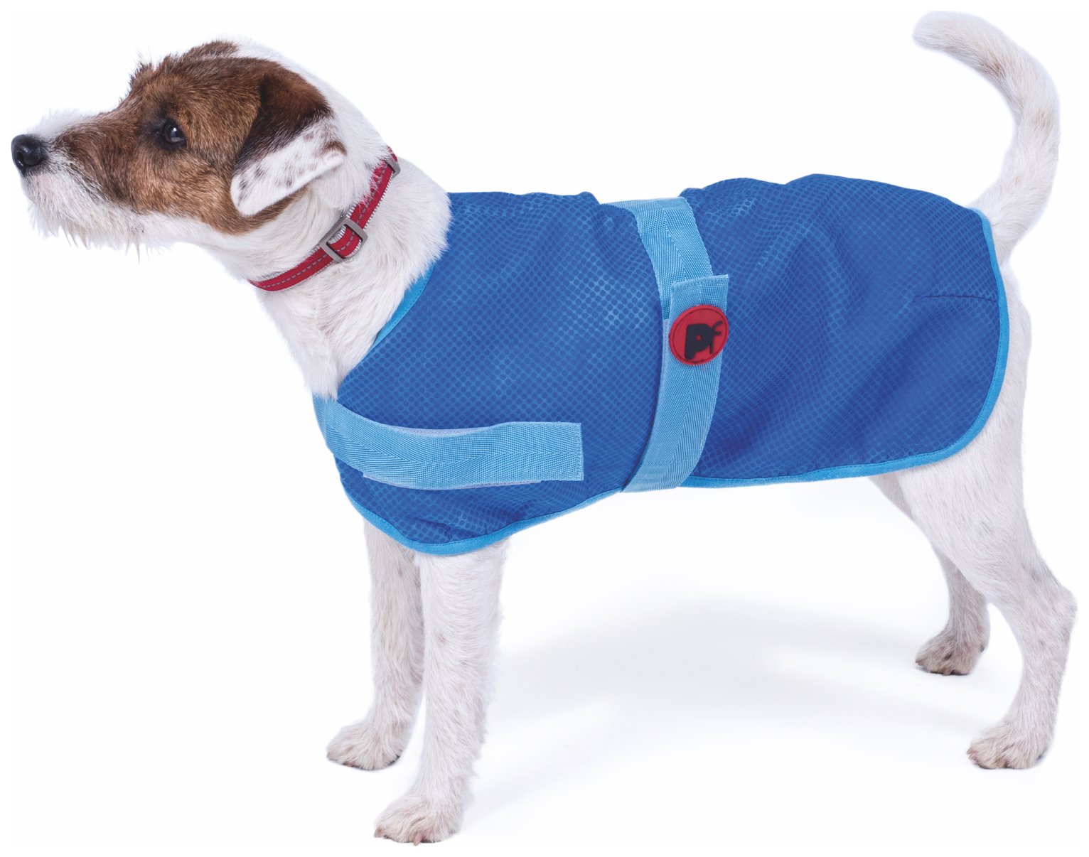 Petface Cooling Coat review