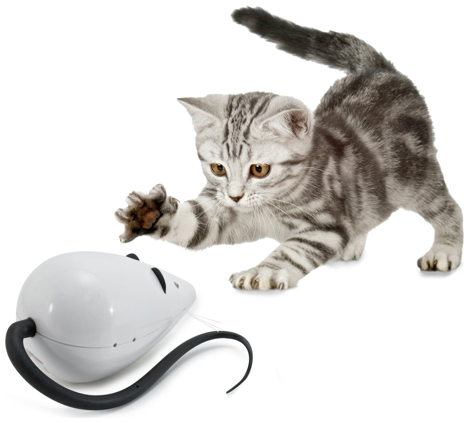 Petsafe FroliCat RoloRat Cat Teaser review