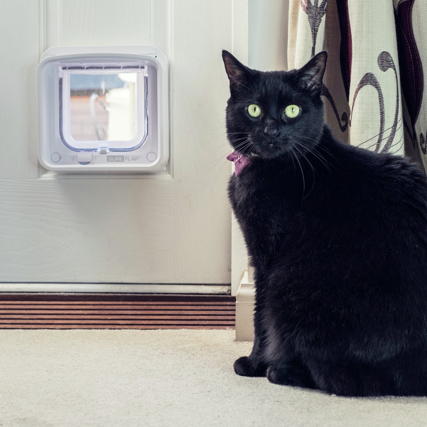 argos cat flap