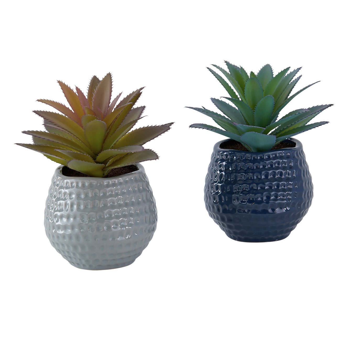 Argos Home Nomadic Artificial Small Ceramic Succulents