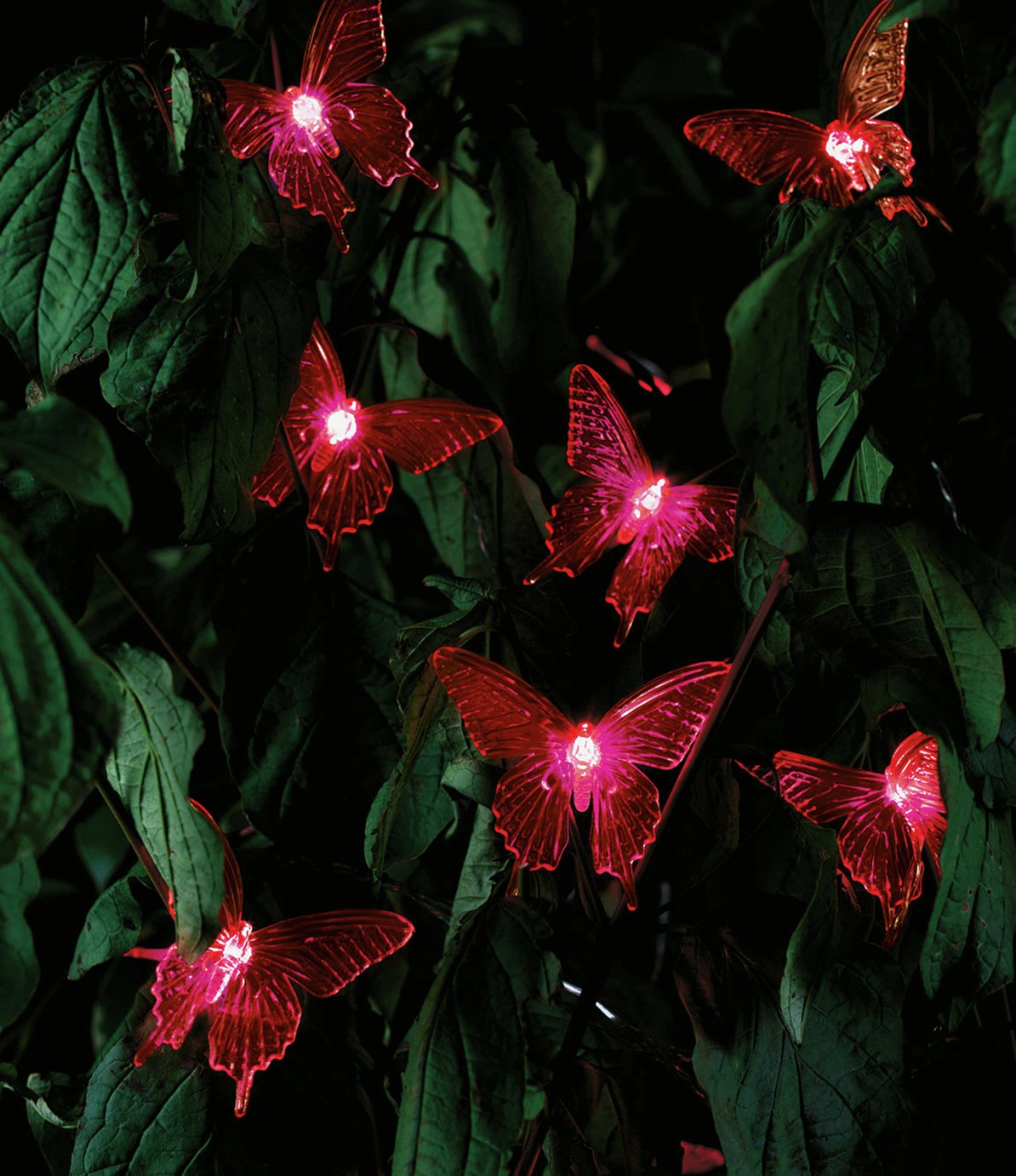Argos Home Set of 20 LED Solar Colour Changing Butterfly Lights Reviews