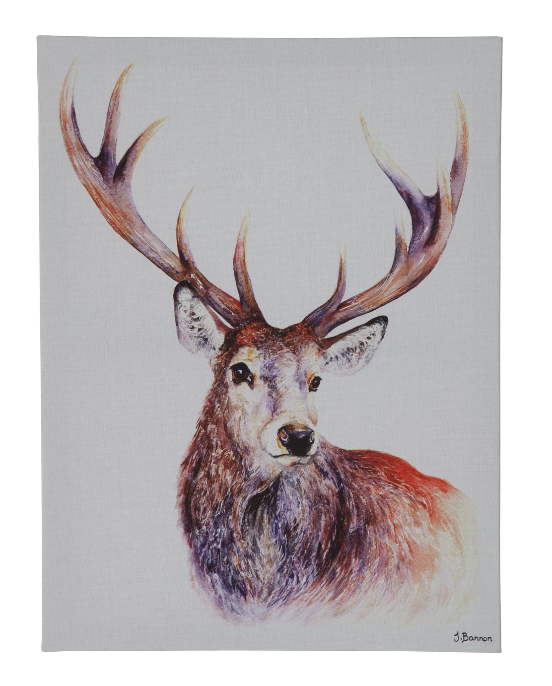 The Art Group Jane Bannon Stag Canvas Review