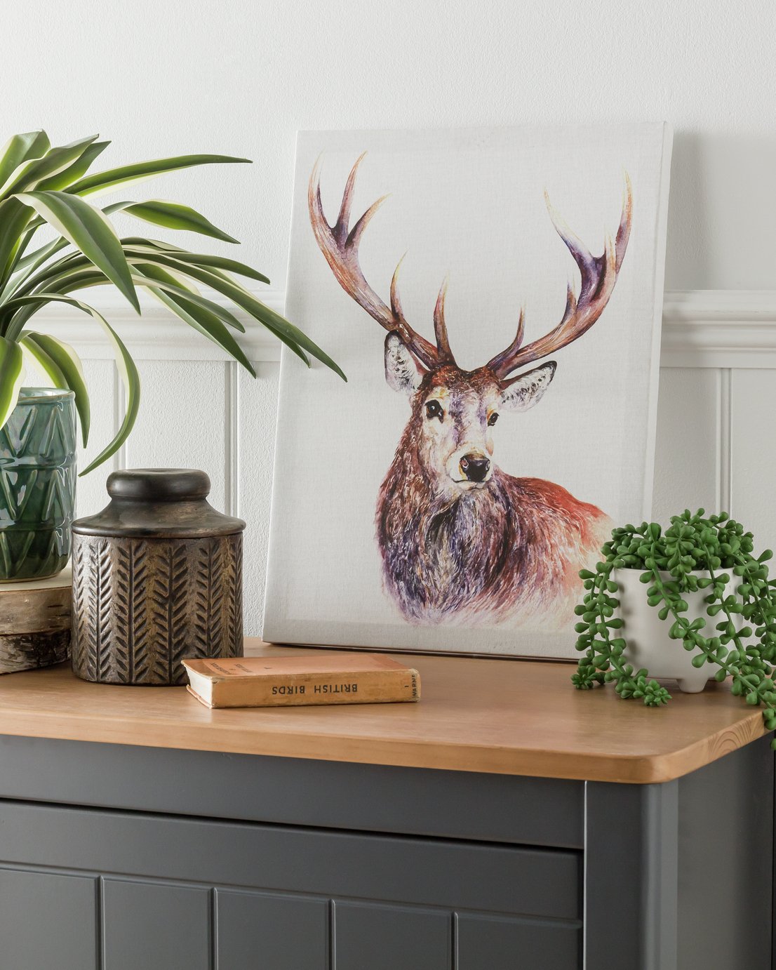 The Art Group Jane Bannon Stag Canvas Review