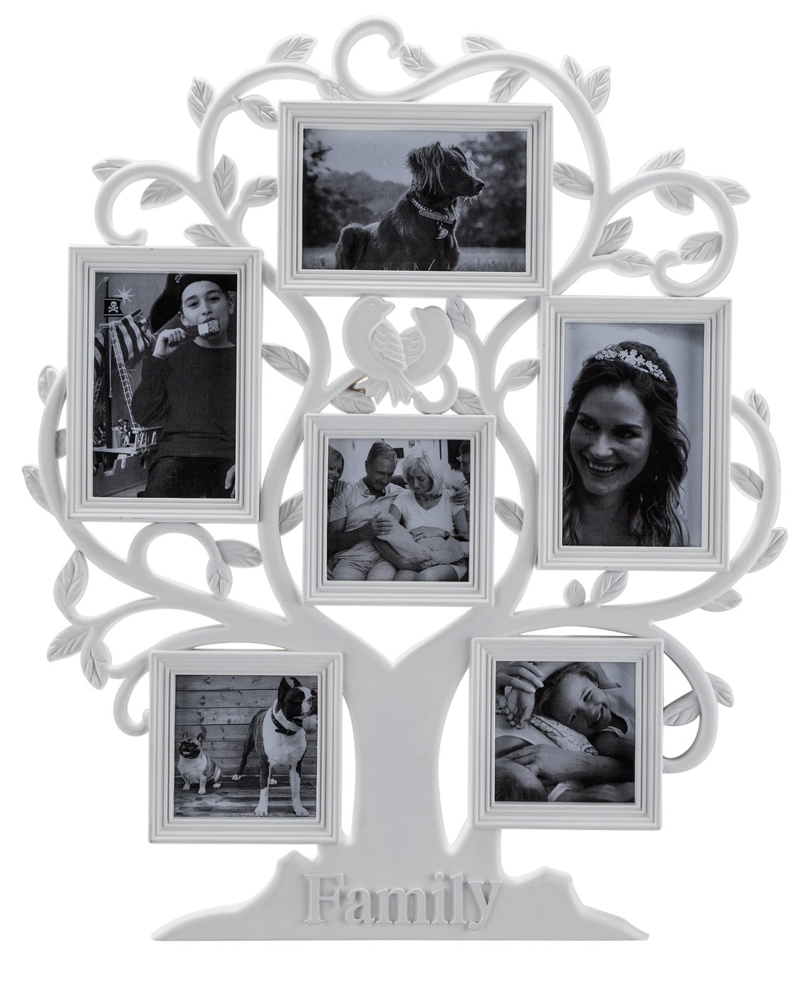 Argos Home 6 Print Family Tree Photo Frame review