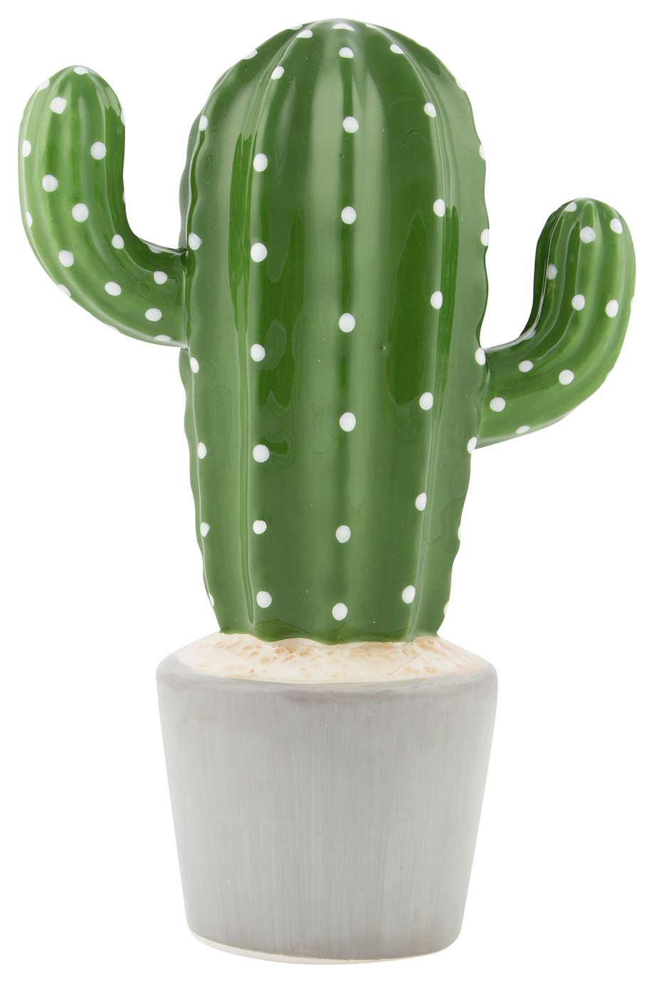 Sass & Belle Cactus Money Box