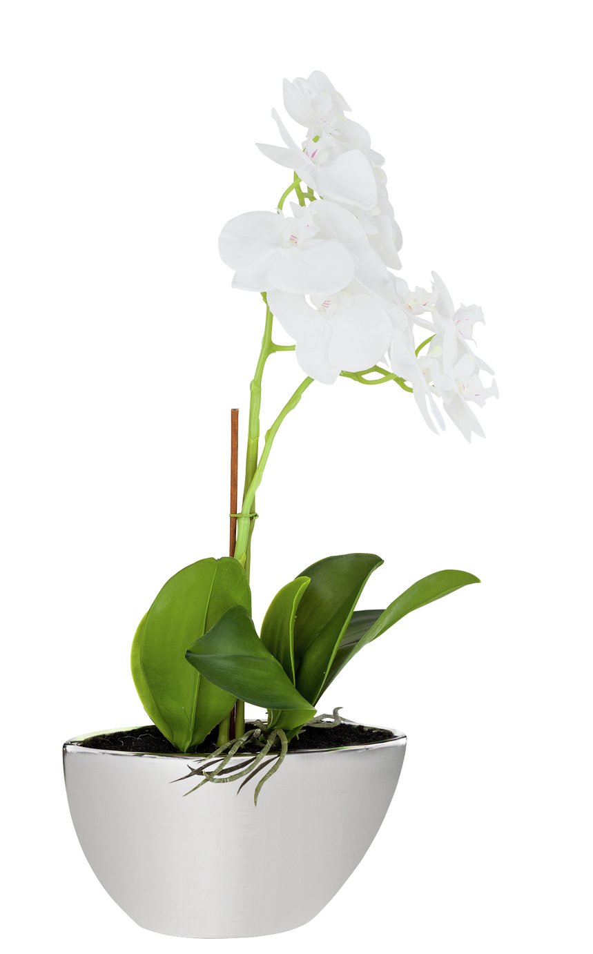 Argos Home Large Orchid Artificial Arrangement Reviews Updated August