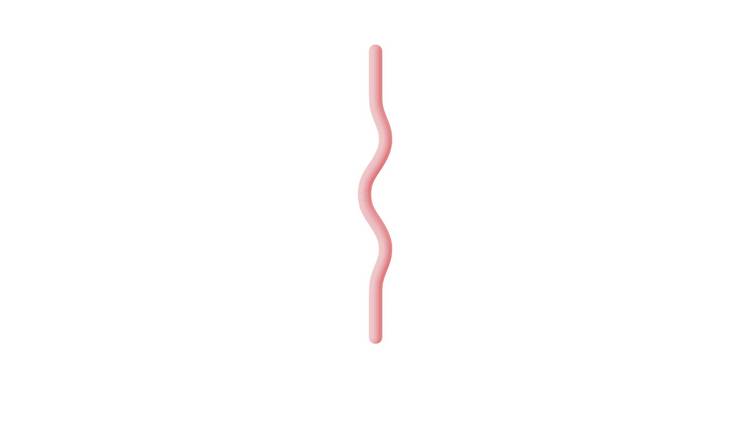 Bala Beam Workout Bar - 6.8kg